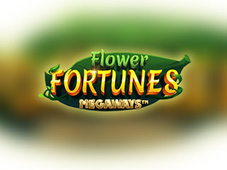 mg image