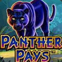 playtech image