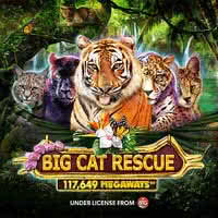 redtiger image