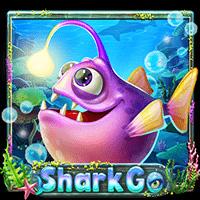 worldmatch image