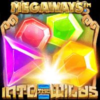 worldmatch image